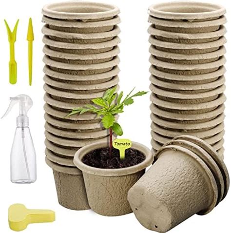 Amazon Daniel S Plants 4 Naked Pots Large Natural Plantable