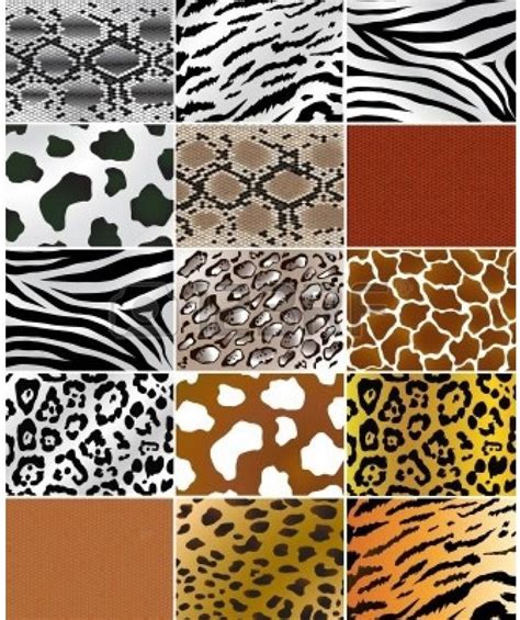 Different Types Of Animal Prints Animal Print Crafts By Season Prints