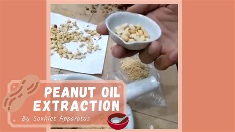 Peanut Oil Extraction By Soxhlet Apparatus YouTube