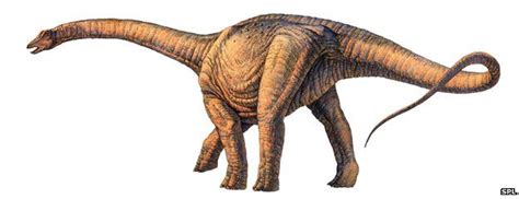 Biggest Dinosaur Ever Discovered Bbc News