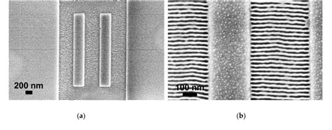 [pdf] Directed Self Assembly Of Block Copolymers For The Fabrication Of Functional Devices