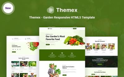 HTML5 Vorlage Website Templates HTML5 TemplateMonster