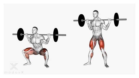 Sumo Squat Kniebeugen Im Sumo Stand Richtig Ausf Hren Modusx