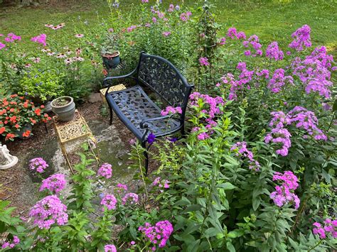 Wildlife Watching Wednesday: Planting to Attract Butterflies — Global