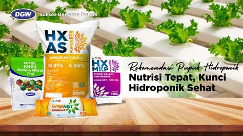 Rekomendasi Pupuk Hidroponik Nutrisi Tepat Kunci Hidroponik Sehat