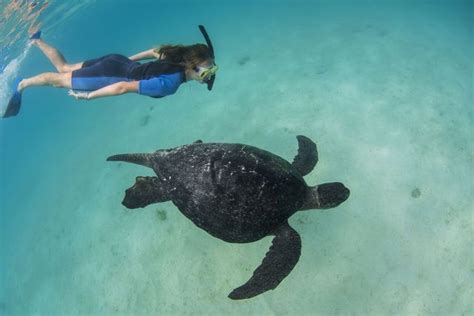 De Vijf Beste Snorkellocaties In Latijns Amerika Sapa Pana Travel