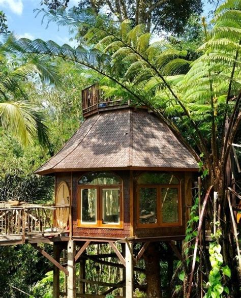 15 Amazing Treehouse Hotels And Lodges For A Terrific Eco Friendly Stay Tree House Cool Tree