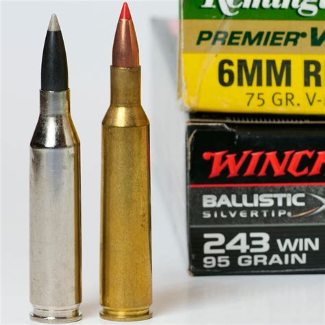 260 Remington Vs 6 5 Creedmoor Its All About Understanding Rifle