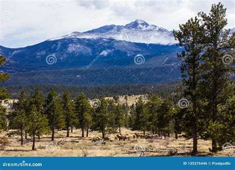 A Majestic View Of The Rocky Mountain National Park Colorado Usa