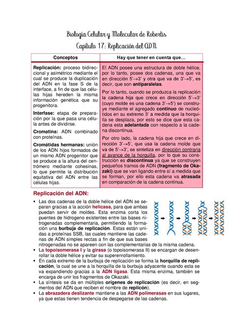 Cap Resumen De Robertis Biolog A Celular Y Molecular De Robertis