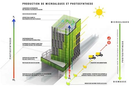 In Vivo Xtu Architects Mu Architecture R Inventer Paris Xiiie Arr