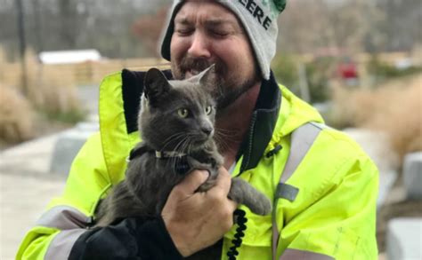 Ein Mann Findet Seine Lang Vermisste Katze Nach Sechsmonatiger Suche