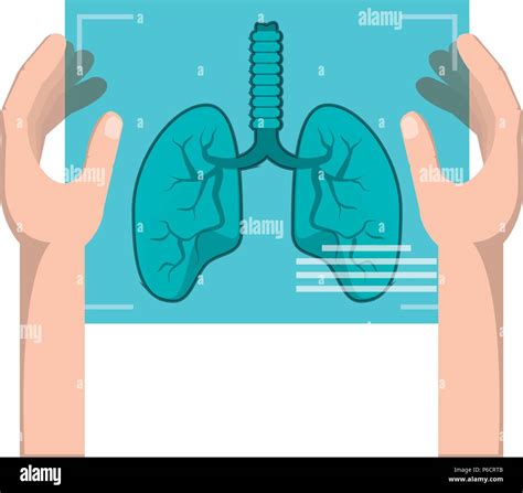 Hands Holding A Lungs Xray Icon Over White Background Vector