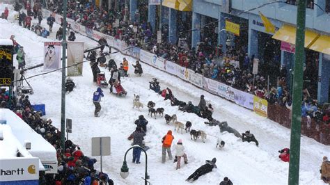 Three Unbelievable Facts About Alaska's Iditarod Race | Alaska Tours