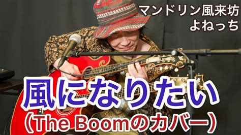 風になりたい（the Boom）／マンドリン風来坊よねっち Youtube