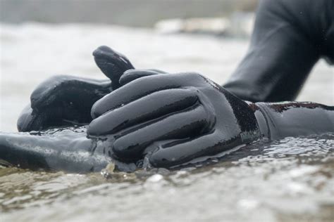 The Best Wetsuit Gloves of 2024 | The Inertia