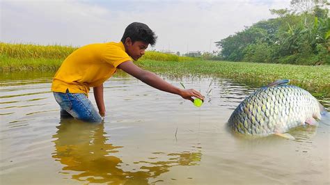 Plastic Bottles Fish Trap Traditional Catch Fish With Hook Plastic