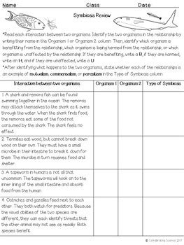 Symbiosis Review Worksheet by Cell-abrating Science | TpT