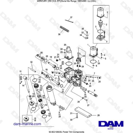 MERCURY 250 EFI 3 0L Power Trim Components DAM Marine