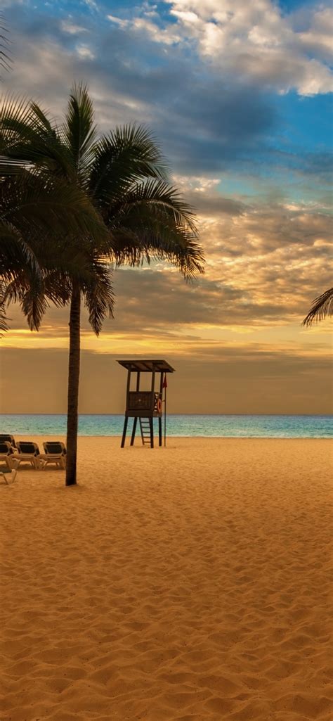 Wallpaper Beach, palm trees, chairs, sea, dusk 5120x2880 UHD 5K Picture ...