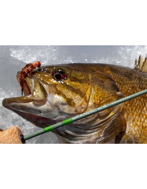 St. Croix Skandic Ice Rod - Tackle Shack