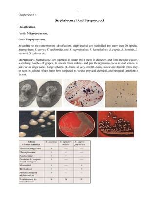 Staphylococci And Streptococci PDF