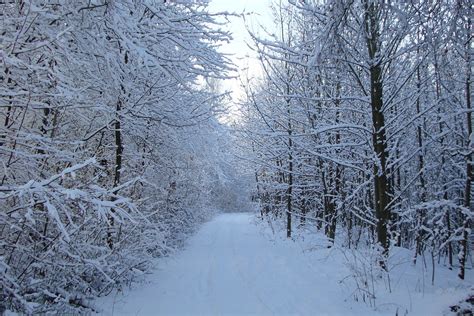 Winter Weg Kostenloses Foto Auf Pixabay