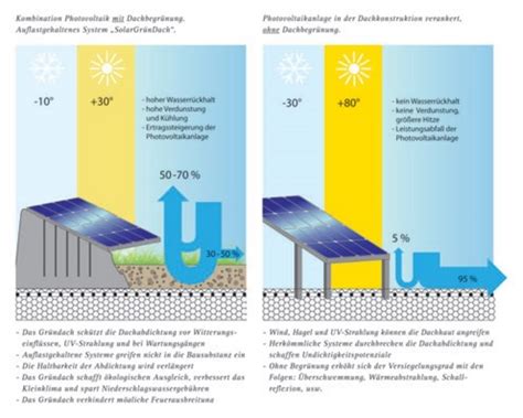 Solargründächer Weiterhin Im Trend Das Dach Zweifach Nutzen