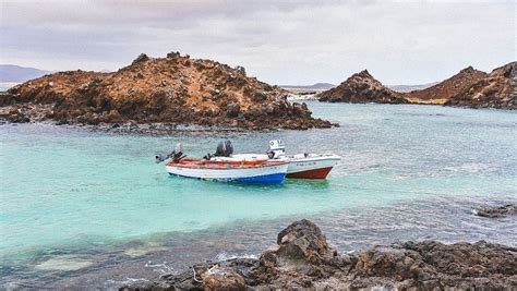 Su Isola Di Lobos C La Possibilit Di Fare Un Tuffo Tra Le Rocce