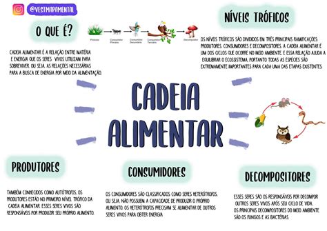 Mapa Mental Sobre Cadeia Alimentar Study Maps Artofit