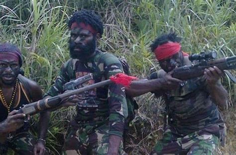 Kkb Tembak Warga Asli Papua Di Ilaga Begini Analisis Kolonel Suriastawa