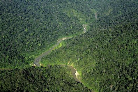 Pembangunan Jalan Kutacane Langkat Akan Membelah Taman Nasional Gunung