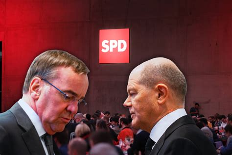 Pistorius Statt Scholz Spd Insider Packen Ber Kanzler Plan Aus