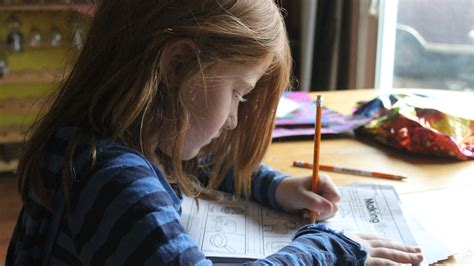 The Importance Of Homework In Learning