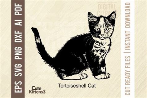 Tortoiseshell Cat Kitten Svg Funny Cat Graphic By Signreadydclipart