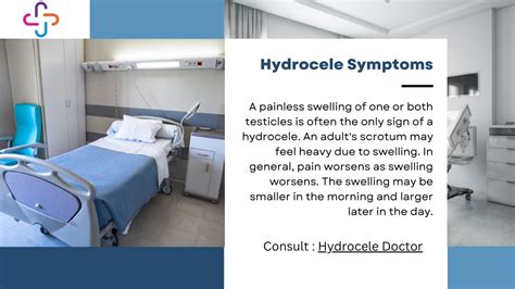 PPT - Does Getting Hydrocele Surgery Help? PowerPoint Presentation, free download - ID:12043982