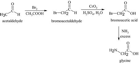 Devise a synthesis of each amino acid from acetaldehyde (CH3CHO): (a ...