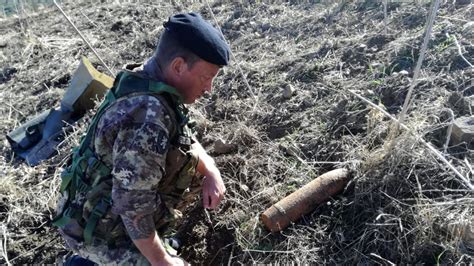 Bosco Ficuzza Trovato Ordigno Bellico Della Seconda Guerra Mondiale