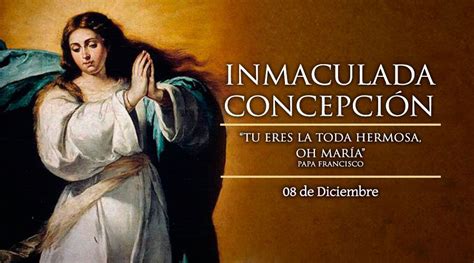 Caminos De Fe ¡feliz Solemnidad De La Inmaculada Concepción 7 Datos