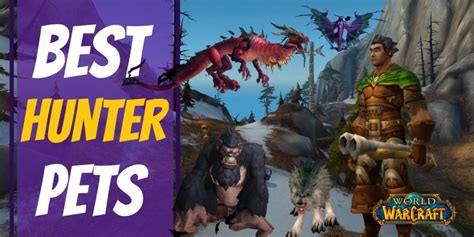 Best Hunter Pets In WoW - World of Warcraft Guide