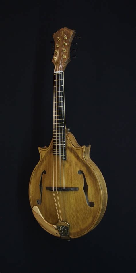 Mandolin P Thijs Van Der Harst