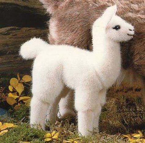 Pictures of Baby Llamas to Help You Procrastinate