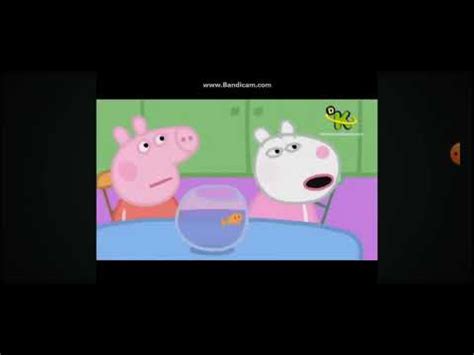 Peppa Pig Competição de Animais de Estimação YouTube