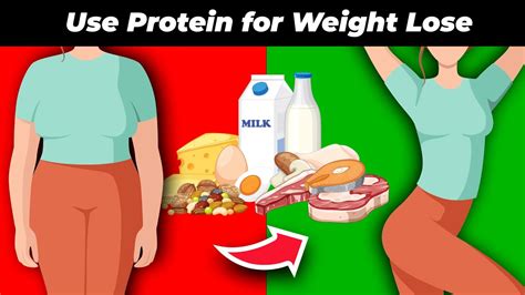 The Protein Equation Calculating Your Optimal Protein Intake For