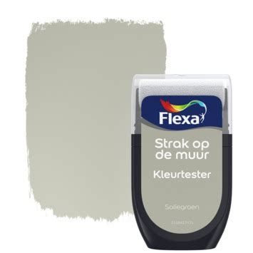 Gamma Flexa Strak Op De Muur Kleurtester Saliegroen Mat Ml Kopen