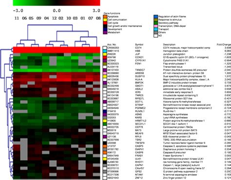 Common Genomic Signaling Among Initial DNA Damage And Radiation Induced