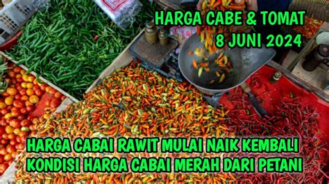 Harga Cabai Merah Hari Ini Juni Info Harga Tomat Dan Cabai