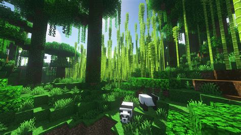 Minecraft Jungle Biome Shaders