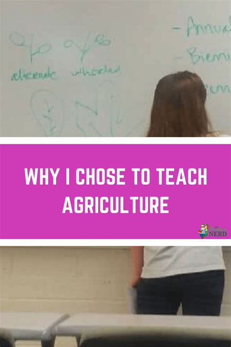 Why I Chose To Teach Teaching Agriculture At The Community College