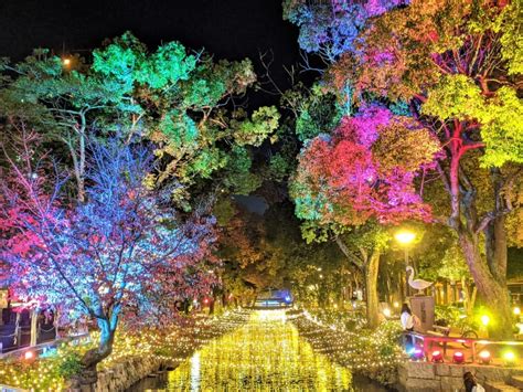 【岡山市北区】今年も西川で幻想的なイルミネーションの点灯が始まりました。夜の西川緑道公園で「星めぐりの旅」はいかが？ 号外net 岡山市